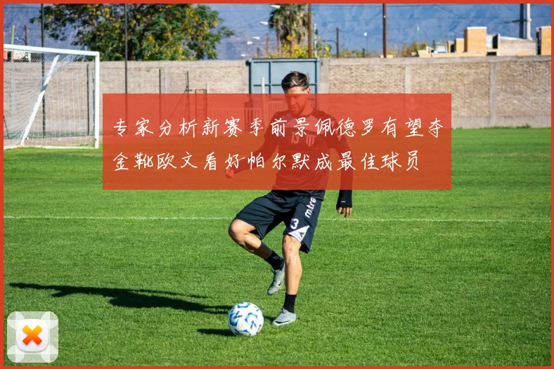 专家分析新赛季前景佩德罗有望夺金靴欧文看好帕尔默成最佳球员